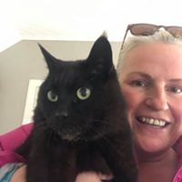 Fully insured Cat sitters Waggy Tails Perth